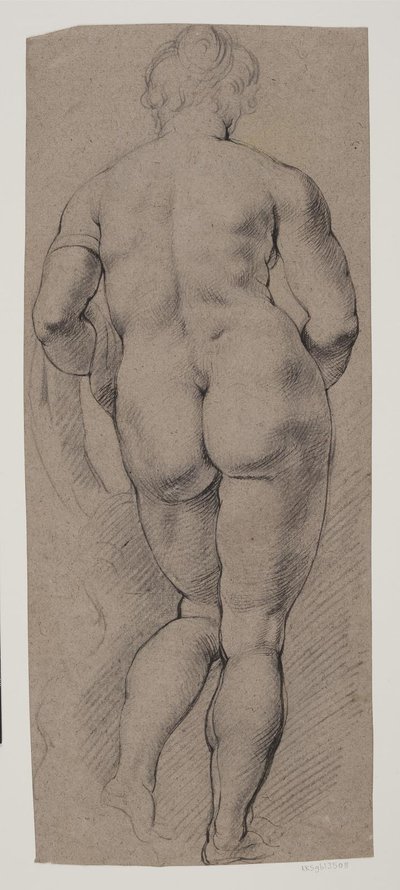 Desnudo femenino de pie visto desde atrás de Willem Panneels