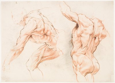 Dos estudios anatómicos de un hombre inclinado hacia la izquierda y otro visto desde atrás con el brazo levantado (écorché) de Willem Panneels