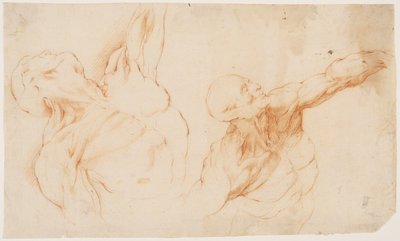 Dos estudios anatómicos (écorchés). Torso desollado de un hombre, con el brazo izquierdo levantado de Willem Panneels
