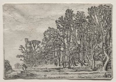 The Set of the Landscapes: Two Plank-Hedges de Willem Pietersz Buytewech