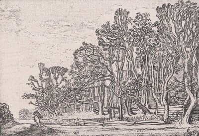 Dos setos de tablones, de Verscheyden Landtschapjes (Varios pequeños paisajes), Placa 6, ca. 1616 de Willem Pietersz. Buytewech
