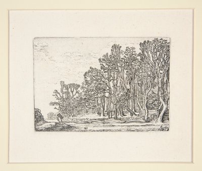 Dos tablones-setos, Lámina 6 de El conjunto de los paisajes de Willem Pietersz. Buytewech