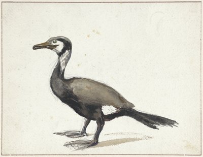 Cormorán de Willem Roelofs (I)