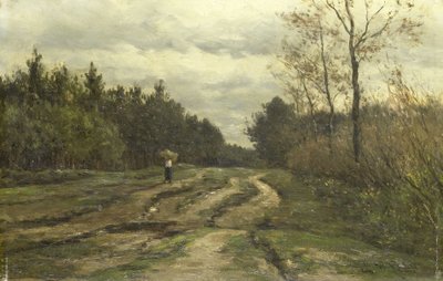 Camino rural cerca de Laren, (provincia de Holanda del Norte) de Willem Roelofs (I)