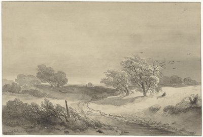Paisaje de dunas con tiempo sombrío de Willem Roelofs (I)