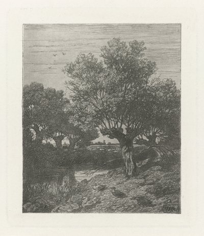 Patos en una zanja de Willem Roelofs (I)