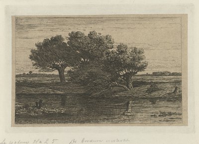 Pescador en los sauces desmochados de Willem Roelofs (I)