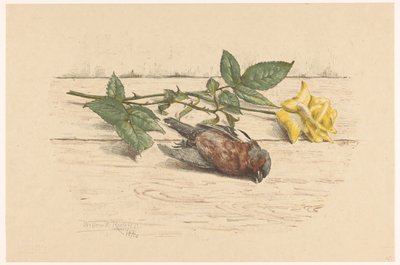 Pinzón muerto junto a una rosa de Willem Roelofs (II) (signed by artist)