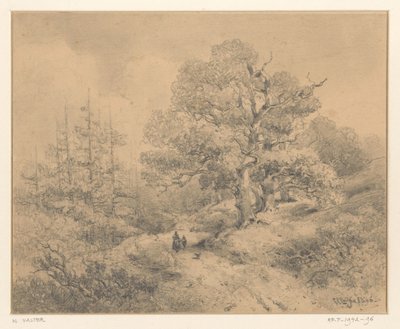 Paisaje con árboles, dos figuras y un perro de Willem Valter Pzn