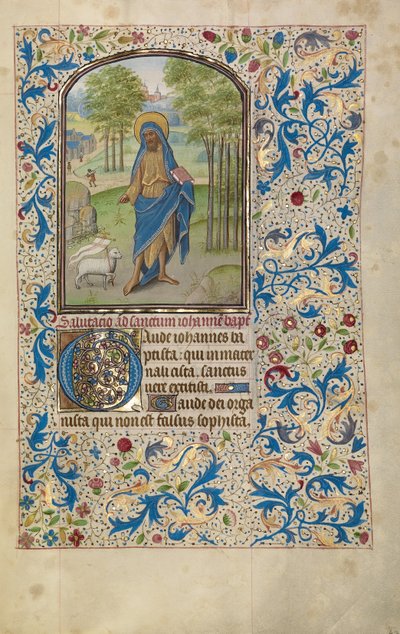 Johannes der Täufer de Willem Vrelant