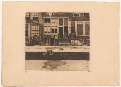 Vista de las casas del canal en Ámsterdam de Willem Witsen (signed by artist)
