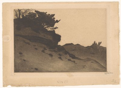 Arbustos en una playa de arena de Willem Witsen (signed by artist)