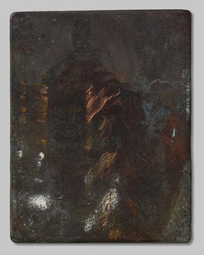 granjero de Willem Arnoldus Witsen