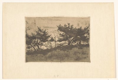 Árboles en una colina de Willem Arnoldus Witsen
