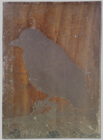 el cuervo ina de Willem Arnoldus Witsen