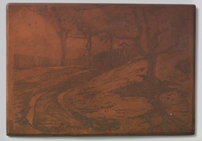 camino de dunas de Willem Arnoldus Witsen