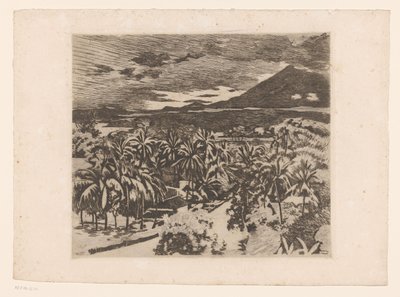 Vista de un paisaje con tablones en Buitenzorg de Willem Arnoldus Witsen