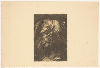 Hond Phoebus de Willem Arnoldus Witsen