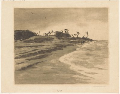 Costa del Zuiderzee en Valkeveen de Willem Arnoldus Witsen