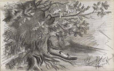 Paisaje con un gran árbol en Rhenen de Willem Arnoldus Witsen