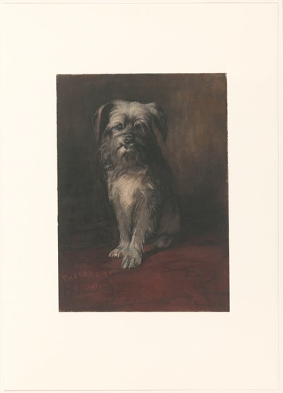 Retrato del perro Febo de Willem Arnoldus Witsen