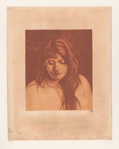 Retrato de una mujer desconocida
Cabeza de mujer con el pelo suelto (título original) de Willem Arnoldus Witsen