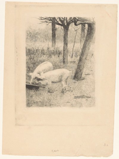 Dos cerdos en un comedero de Willem Arnoldus Witsen