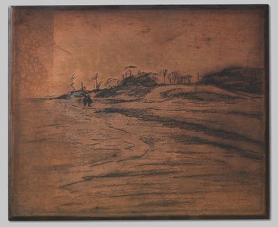 Valkeveen en el Zuiderzee de Willem Arnoldus Witsen