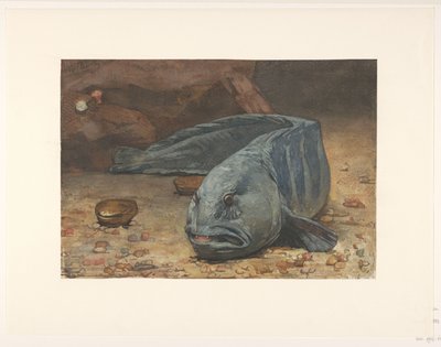 Lobo de mar en el fondo de un acuario de Willem Arnoldus Witsen