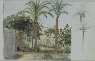 Oasis con palmeras de Willem de Famars Testas