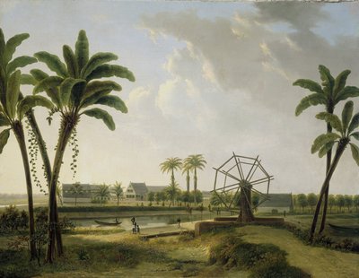 Vista de la plantación de café Marienbosch en Surinam de Willem de Klerk