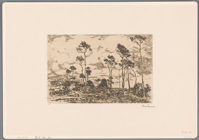 Paisaje con árboles desnudos y leñadores
Carga de montes (título original) de Willem de Zwart (signed by artist)