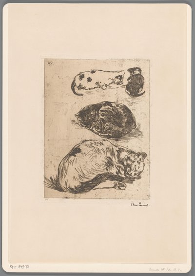 Estudio de los gatos (título original) de Willem de Zwart (signed by artist)