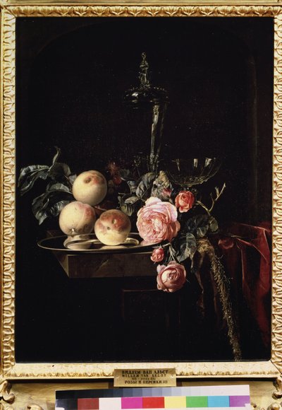 ""Bodegón de rosas y melocotones"" (Rosas y melocotones) Pintura de Willem van Aelst (1625-circa 1683) 1659 Museo Pushkin, Moscú de Willem van Aelst