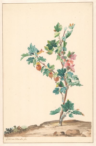 Una grosella en un paisaje de Willem van Leen (attributed to)