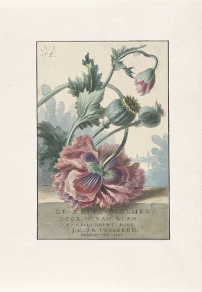 Amapolas
Impresión del título para: W. van Leen y J.C. & J.A. Coebergh, Flores grabadas, 1804 de Willem van Leen