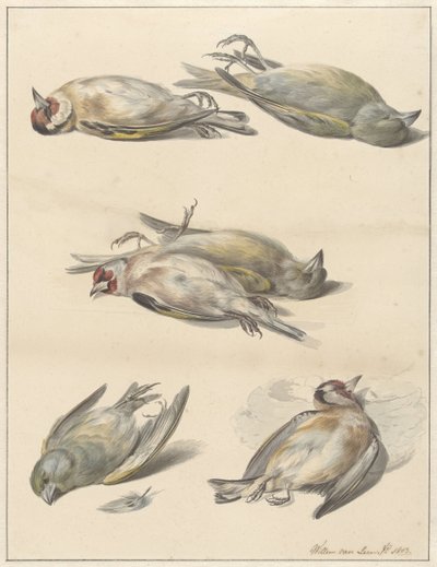 Seis pájaros muertos de Willem van Leen