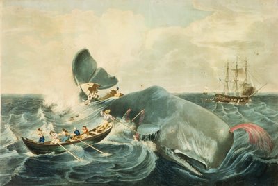 Captura de un cachalote, grabado por J. Hill, publicado en 1835 (aguatinta en color) de William (after) Page