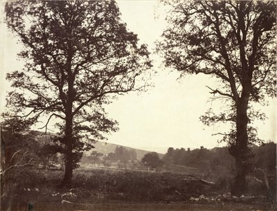 Paisaje con olmos, Ashdown, Gran Bretaña de William 2nd Earl of Craven
