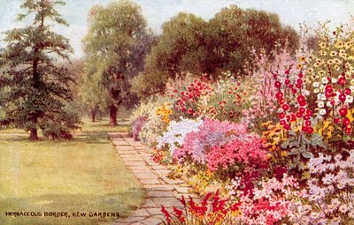 Borde herbáceo, Jardines de Kew de William Affleck Carruthers