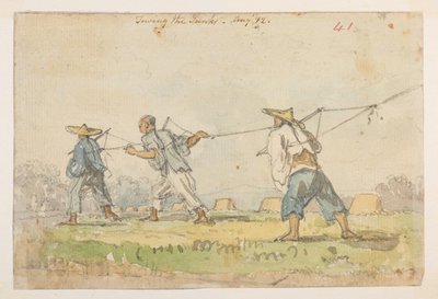 WD 959 sección 2 f.41r de William Alexander
