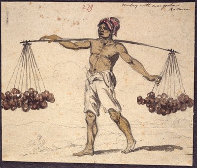 WD 961 f.279 de William Alexander