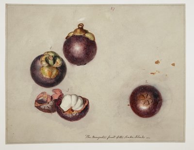 WD 961 f.27 de William Alexander