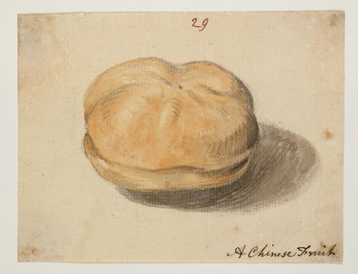 WD 961 f.29 de William Alexander