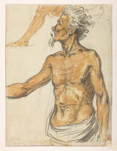 [f.4 24v Anciano.  de un álbum de 372 dibujos de paisajes, costas, disfraces y la vida cotidiana realizados durante la embajada de Lord Macartney ante el emperador de China, entre 1792 y 1794 (lápiz y acuarela sobre papel) de William Alexander