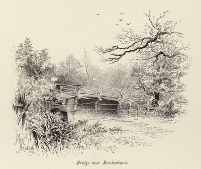 Puente cerca de Brockenhurst (grabado) de William Alexander Ansted