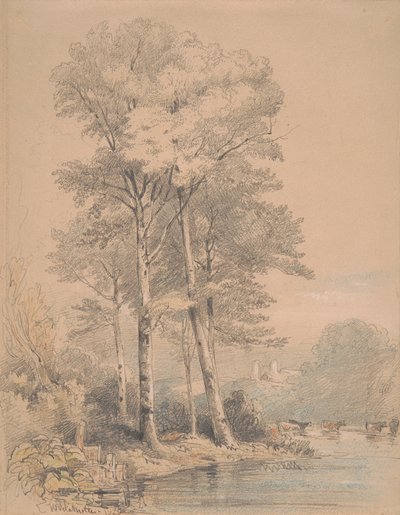 Castillo de Llandovery, Gales del Sur de William Alfred Delamotte