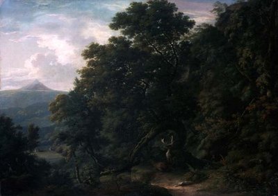 Vista de Powerscourt Demesne de William Ashford