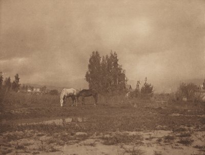 Paisaje de Pasadena, 1899 de William B Post