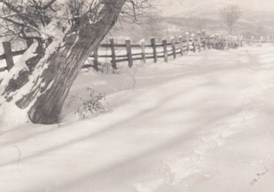 Sendero en la nieve de William B. Post